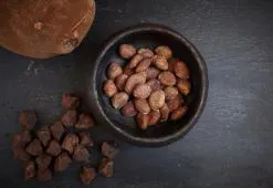 Amazonasi cupuaçu vaj - zsírsavak egyensúlya a tökéletes hidratálásért