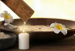 Olajpakolás - A táplálás extrém ereje