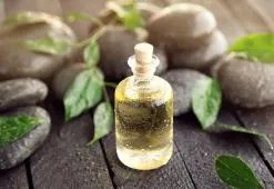 A hibátlan bőr enciklopédiája: FEHÉR TEA